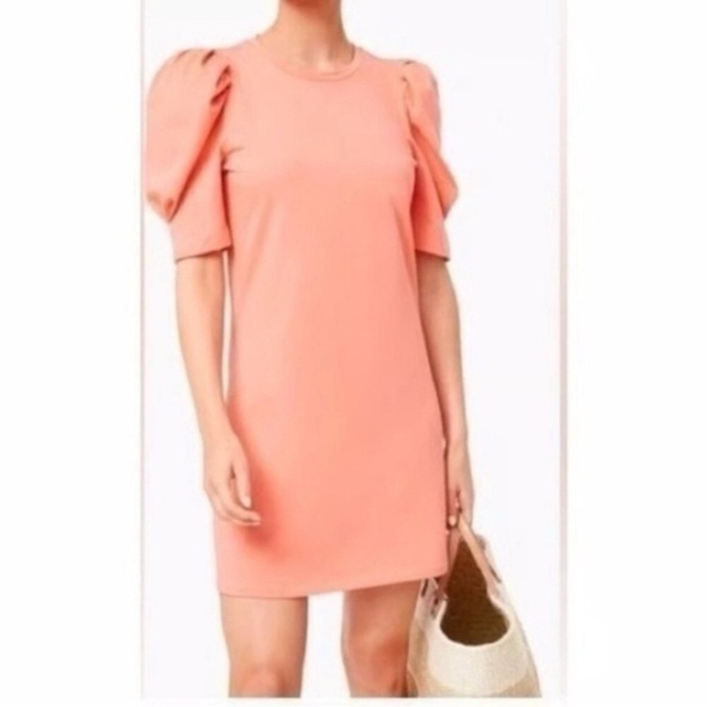 Pomander Place Coral Pink Puff Sleeve Mini Dress